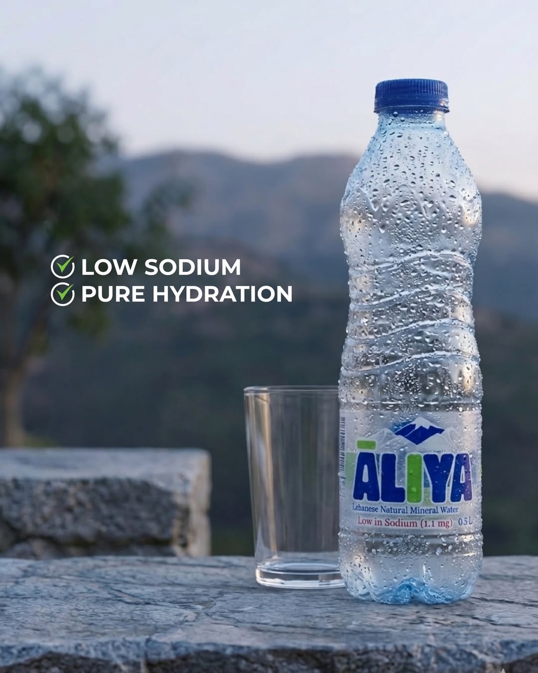 1.1 mg of Sodium: Why Aliya Keeps It Naturally Low